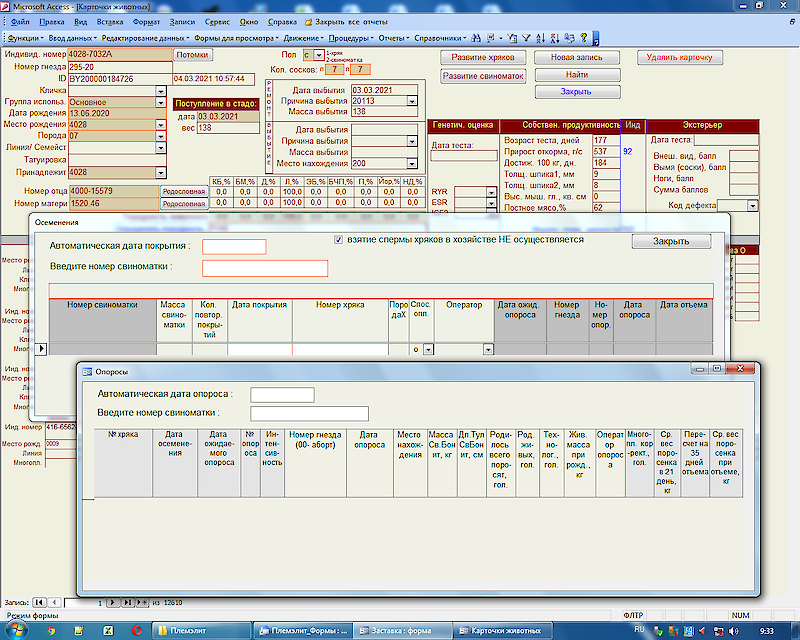 Automated breeding process management system "Plemelit"